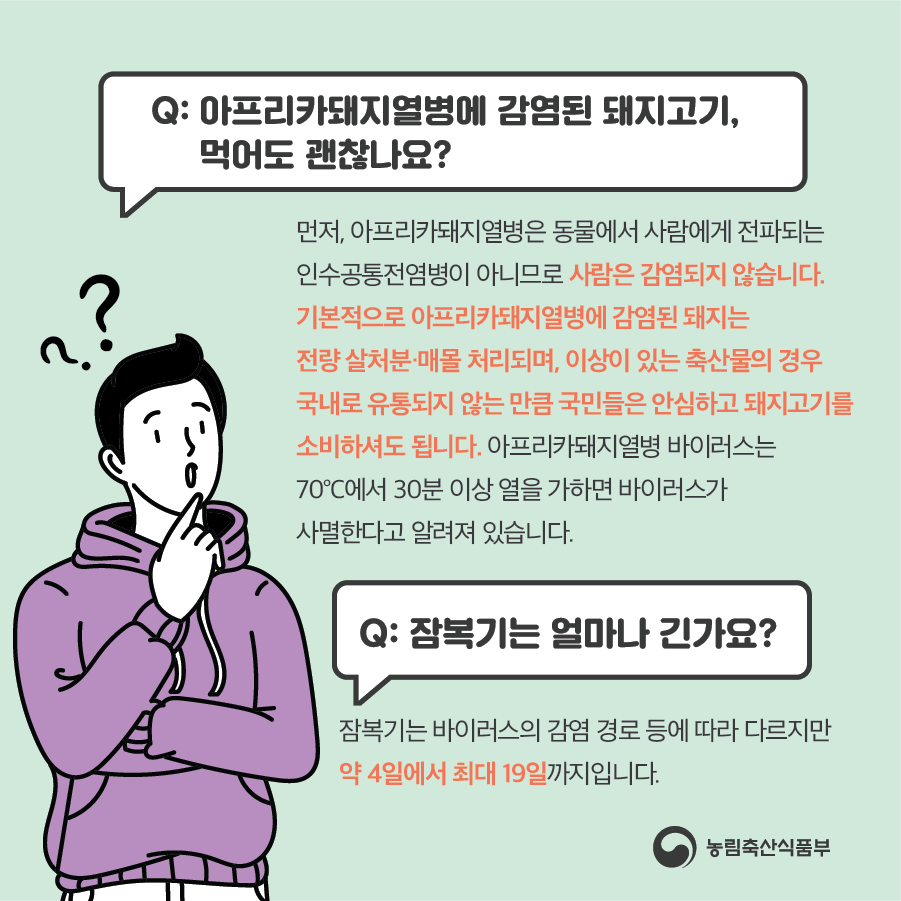 아프리카돼지열병 정보 Q&A 이미지 (상세 내용 하단 참조)